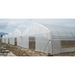 河北溫室大棚_山東規模*大的薄膜溫室建造公司