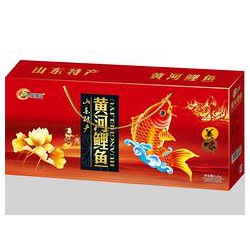 山東物超所值的黃河鯉魚禮盒【供應】，聊城黃河鯉魚禮盒