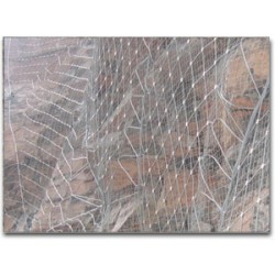 衡水的柔性防護網(wǎng)供應(yīng)商當屬安平連璧 柔性防護網(wǎng)經(jīng)久耐用