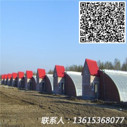 日光溫室設計安裝+連棟溫室大棚設計+冬暖式溫室大棚+蔬菜大棚