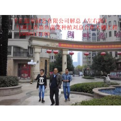 濰坊哪里有提供蔬菜大棚建造，蔬菜大棚