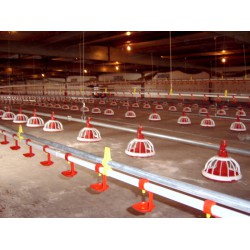 精良的水線料線就在緣緣溫控：河北養雞用水線