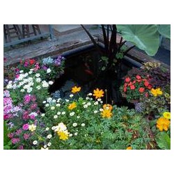 口碑好的花卉租賃|御景園_聲譽好的花卉租賃公司