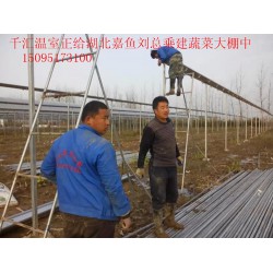 濰坊可靠的蔬菜大棚建造公司，當(dāng)屬千匯溫室，蔬菜大棚建造