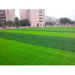 合肥人造草坪【人造草坪，杠杠的】合肥人造草坪供應、合肥人造草坪材料