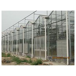 專業的鋼結構溫室大棚建造——超值的鋼結構溫室大棚建造推*