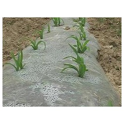 具有口碑的玉米地膜提供商，當屬南寧市晟和興塑膠，貴州哪里有農(nóng)用地膜