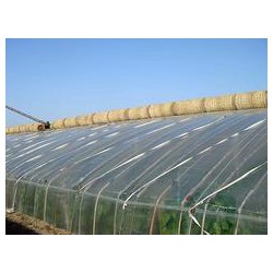 華盾塑料供應優良的壽光大棚膜，華盾大棚PO膜