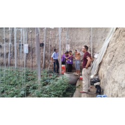 新日本PO膜信息優質商家提供|水晶PO膜供應商