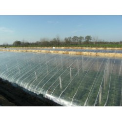 哪里有供應好用的五層共擠EVA農膜：五層共擠EVA農膜