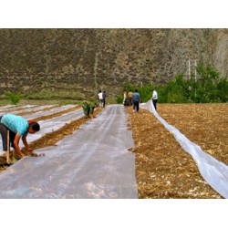 地膜廠(chǎng)家_區(qū)域規(guī)模大的地膜生產(chǎn)廠(chǎng)家