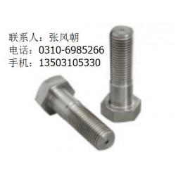 TOP★山東高強度國標(biāo)螺栓廠家@報價加工—通亞標(biāo)準(zhǔn)件