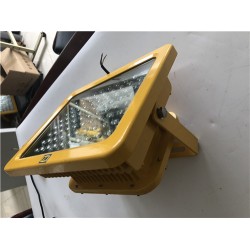 DGS80/127L煤礦專業巷道燈