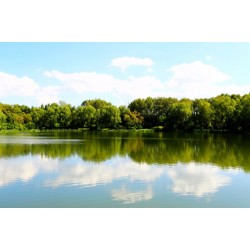 平臺出租高防服務器|無視大帶寬服務器租用