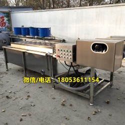 氣泡清洗機 果蔬加工設備 清洗機廠家