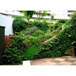 山西室內植物墻養護