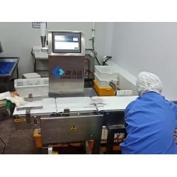 檢重秤 重量自動分檢機 稱重剔除機 青島隆力達