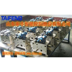 泰豐品牌二通插裝閥標準100T主缸系統