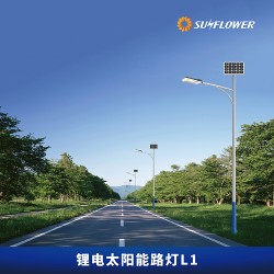 節(jié)能型鋰電智能6-8米30W太陽(yáng)能LED路燈L1廠家直銷(xiāo)