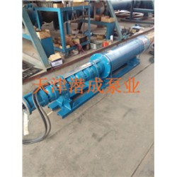天津水池100方臥式潛水泵（帶井筒，支架）潛成泵業(yè)廠家直銷(xiāo)