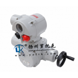 電動執行器_電動閥門-揚州羅托克儀器儀表有限公司