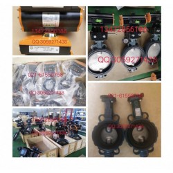 德國依博羅（EBRO）對夾式蝶閥DN40-DN500現貨提供
