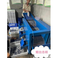 長(zhǎng)沙市藍(lán)莓調(diào)速滾筒選果分*機(jī)廠家批發(fā)