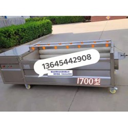 芥菜毛輥清洗機(jī)哪里有