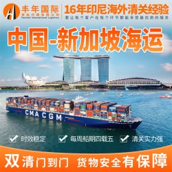 中國到新加坡海運(yùn)集裝箱價(jià)格 雙清到門專線貨代