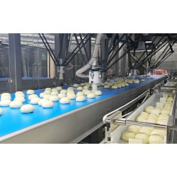 速凍包子裝托裝袋柔性自動化包裝生產線