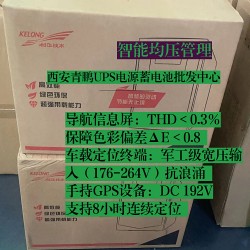 西安科華UPS電源YTR3340-J和64只蓄電池在通信模塊